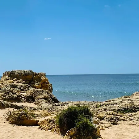 Bicos 101 By Check-in Portugal *