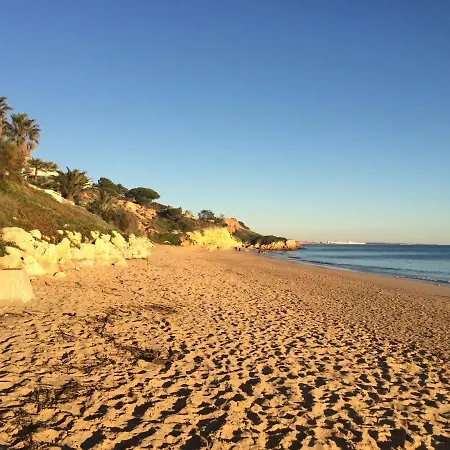 Bicos 101 By Check-in Portugal 알부페이라