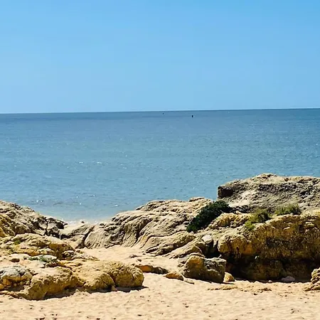 Bicos 101 By Check-in Portugal 알부페이라