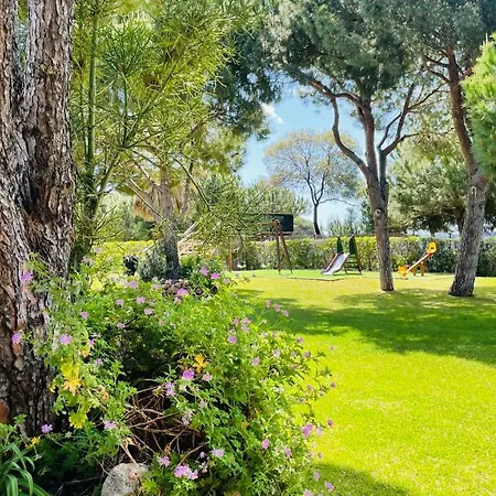 Bicos 101 By Check-in Portugal * 알부페이라